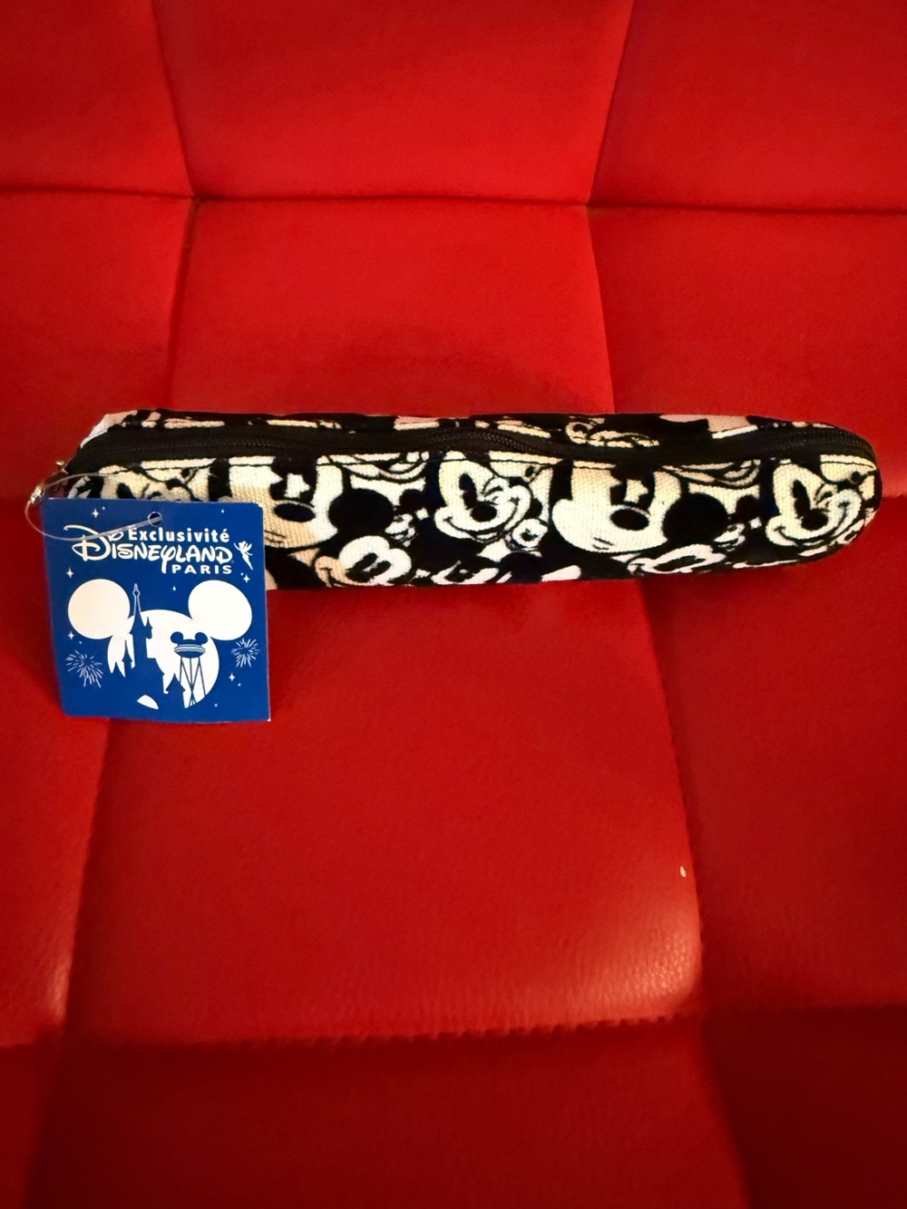 ✨ RARE NWT Disneyland Paris Vintage 2010 Mickey Mouse Pencil Case / Pouch ✨